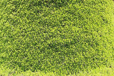 《盗贼之海》联动加勒比幕后访谈：从电影中学到了很多