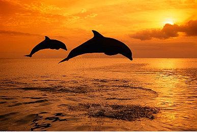 《死亡岛2》DLC“艺廊”现已在Epic上推出